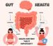 Gut Health and Nutrition