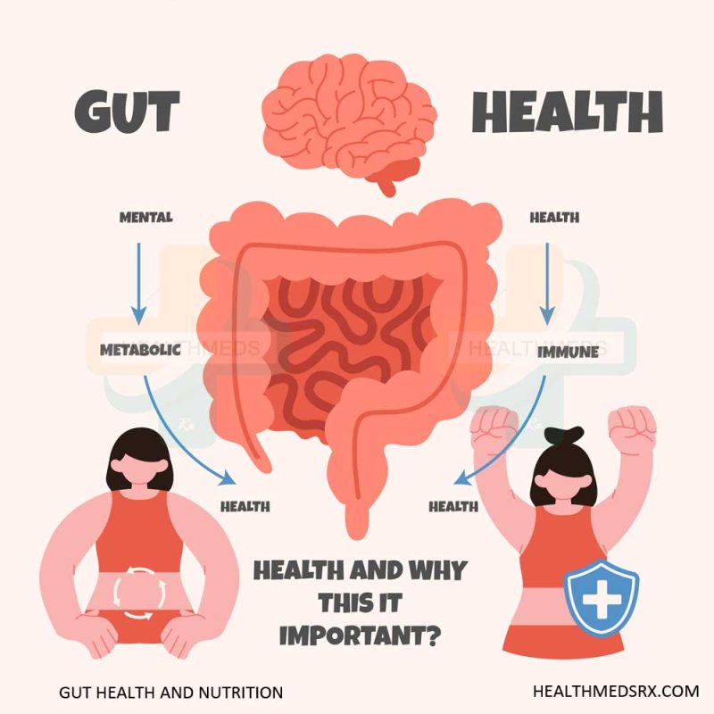 Gut Health and Nutrition