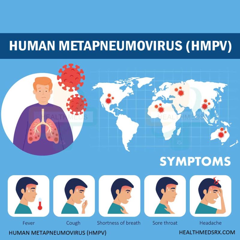 human metapneumovirus