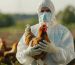 Avian Influenza